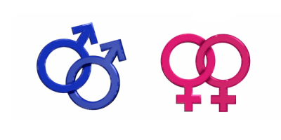 Homosexuality: A Biblical Overview